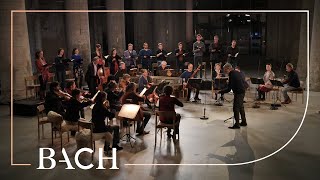 Bach  Cantata Es ist dir gesagt Mensch was gut ist BWV 45  Rademann  Netherlands Bach Society [upl. by Etnahsa]