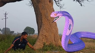 Snake movie part3  Blue snake  Blue cobra snake  saap wala video  Snake Hd Video [upl. by Sihon389]