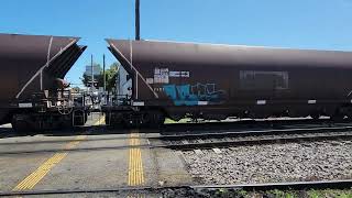 PN Coal NW432 Clyde Street Level Crossing Islington NSW 07 November 2023 [upl. by Thorny685]