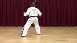 TAGB TAEKWONDO White Belt Beginner Exercise Saju Jirugi 15 Moves [upl. by Nosmoht503]