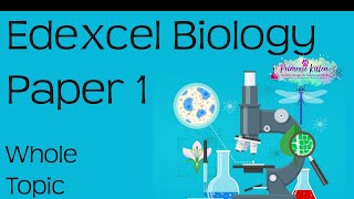 The whole of Edexcel Biology Paper 1  Revision for 91 GCSE Bio Combined Science [upl. by Qifar]