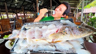 Thailands Freshest Seafood 🐠 CORAL GROUPER Cooked in 3 Dishes  Island Thai Food [upl. by Dygal187]