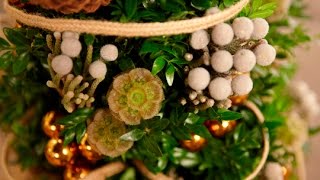 Decorate a Boxwood Miniature Christmas Tree [upl. by Ahsemed]