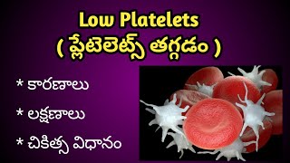 Low Platelets  Thrombocytopenia  Causes Symptoms and treatment in Telugu [upl. by Aisinut]