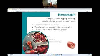 CG  BIO160  Hemostasis [upl. by Nhguahs]