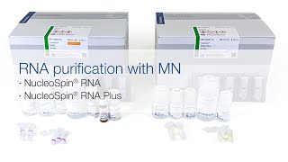 RNA purification with MN – NucleoSpin® RNA and NucleoSpin® RNA Plus [upl. by Vihs]