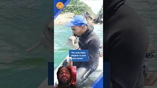 Rescue Team Dolphin fishing dolphinlove fish shark animals bigfish feelgood dolphin cute [upl. by Merrow]