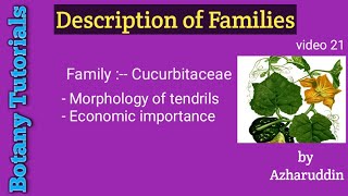 CucurbitaceaeMorphology of tendrils amp Economic importance [upl. by Enyrehtak]