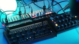 Analog Melodic Techno  Moog Minitaur  Behringer Crave  Volca Bass  Volca Keys [upl. by Martinelli]