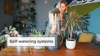 4 DIY SelfWatering Systems  Water Plants While Away [upl. by Selinski]