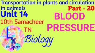 10 std Biounit 14 circulation in animals Blood PressurePart 20Samacheer [upl. by Kumagai]