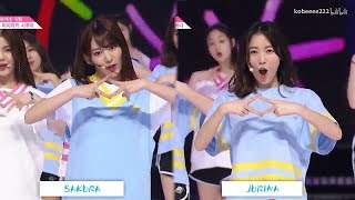 Miyawaki Sakura amp Matsui Jurina Dance Comparison PRODUCE48 NEKKOYA 宮脇咲良 松井珠理奈 IZONE [upl. by Haroppizt680]