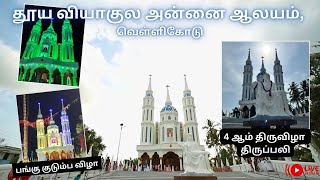 🔴 LIVE புனித வியாகுல அன்னை ஆலயம் வெள்ளிகோடு  3 ஆம் திருவிழா திருப்பலி  15092024 [upl. by Ellednahs]