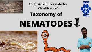 Phylum Nematoda Basics Veterinary Parasitology [upl. by Sharity459]