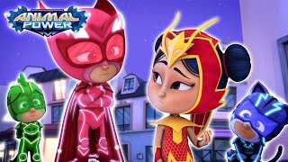 PJ Masks  S2 FULL EPISODES  🔴 LIVE 247  Kids Cartoon  Animation  Superheroes  Kids Video [upl. by Varuag]