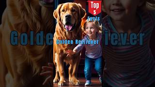 Top 5 Facts About Golden Retrievers  Loyal Smart amp Friendly [upl. by Anirda]