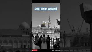 sallu alaihi wa aalihi naat naat shortnaat droodsharif [upl. by Nitnerb]