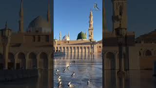 Seyyed abdul wasi qadri razvi naat shorts new viralvideo [upl. by Hsetirp]