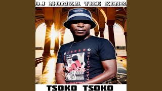 Tsoko Tsoko feat Tebza De DJ [upl. by Adnar]