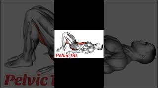 Pelvic tilt workout with no equipment pelvictilt workout noequipment [upl. by Thill]