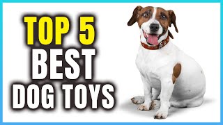 Top 5 Best Dog Toys  Extreme Reviewer [upl. by Cordey248]