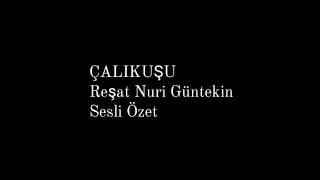 Çalıkuşu Romanı Reşat Nuri Güntekin Sesli Özet [upl. by Hamford780]