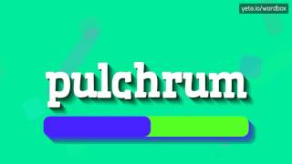 PULCHRUM  HOW TO PRONOUNCE IT [upl. by Nelrac]