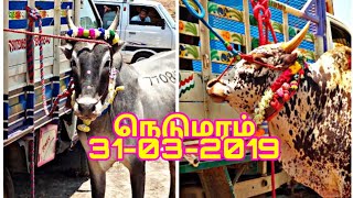 Nedumaram manjuvirattu 2019 [upl. by Helyn]