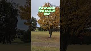 Fall Golf  Holly ridge Golf Links Highly recommend golf golfing [upl. by Flemming]