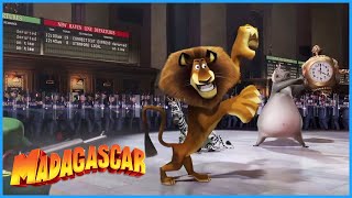 DreamWorks Madagascar  Its Me Alex From the Zoo  Madagascar Movie Clip [upl. by Betteann]