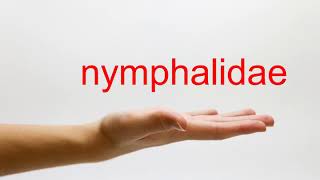 How to Pronounce nymphalidae  American English [upl. by Haroppiz]