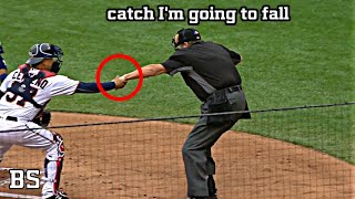 Umpire hit by foul ball in baseball  MLB [upl. by Sabrina]