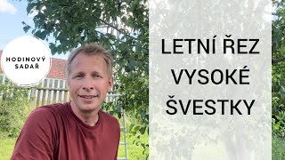 🌳 Dva způsoby letního řezu švestek🌳 [upl. by Riatsala936]