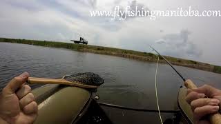 Big Creek Whiteshell Manitoba  June 2018  Fly Fishing Bass and Pike [upl. by Ressay679]