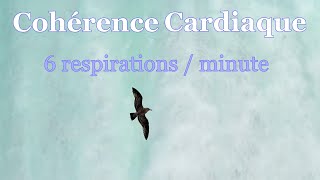 Cohérence Cardiaque Exercice 113 6 respirations minute [upl. by Cosmo307]