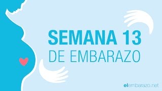 Semana 13 de embarazo  13 semanas de embarazo  El embarazo semana a semana [upl. by Vitalis174]