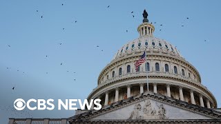 Breaking down the Senate and House races that could shift power for Congress [upl. by Martijn789]