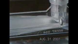 How a Mazzei® Venturi Injector Works [upl. by Osei]