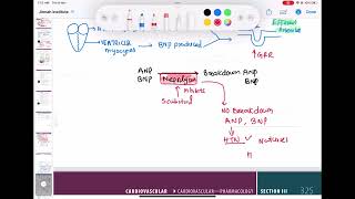 Sacubitril mechanism of Action cardiology 126  First Aid USMLE Step 1 in UrduHindi [upl. by Dunson262]