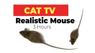 CAT GAMES  Realistic Mouse HD  3 HOURS Video for Cats amp Dogs to watch [upl. by Ketty]