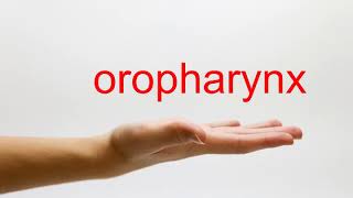 How to Pronounce oropharynx  American English [upl. by Irah]