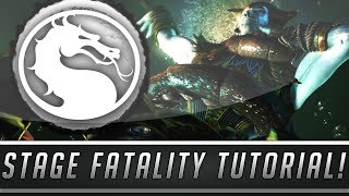 Mortal Kombat X How To Unlock amp Perform All Stage Fatalities Mortal Kombat XL [upl. by Ronal]