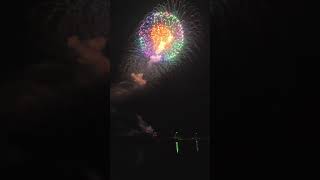 Japan 16quotinch display shell peony ghost ball and Brocade Crown seriesfireworksvuurwerkpyro [upl. by Antonin]