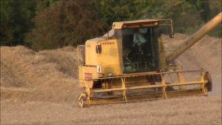 New Holland 8060 Harvesting Wheat [upl. by Dazhehs416]