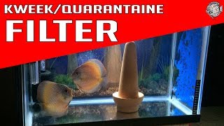 Filtering van het aquarium welke is het ideale aquarium filter  Aquarium Sunshine Valley [upl. by Dyolf]