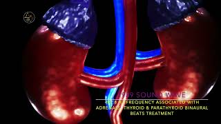 4928 HZ FREQUENCY ASSOCIATED WITH ADRENALS THYROID amp PARATHYROID BINAURAL BEATS TREATMENT [upl. by Donal]