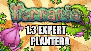 PLANTERA EASY KILL GUIDE Terraria 13 Expert SOLO [upl. by Dang]