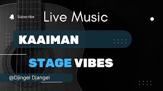 Kaaiman Acoustic Solo Live  Bar Djingel Djangel Antwerpen [upl. by Herra]