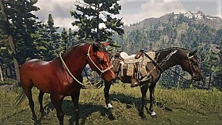 Red Dead Redemption 2 Red Chestnut Arabian Horse Easy Capture  Owanjila Lake Location [upl. by Ossy]