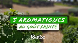 🌱 5 Plantes aromatiques originales au goût surprenant  🍋🌿 [upl. by Ardie]